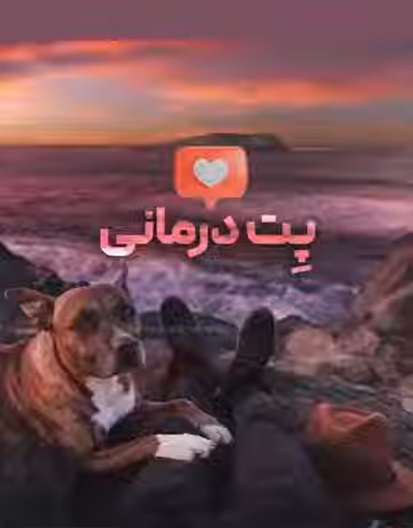 به پت تراپی اعتقاد دارید ؟