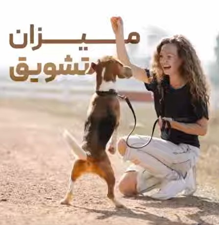 میزان تشویق در تمرینها